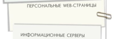 ������������ WEB ��������